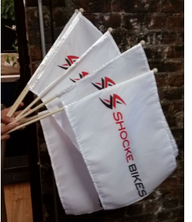 Sports, Lifestyle & Outdoor | Hand Held Flags - 3 